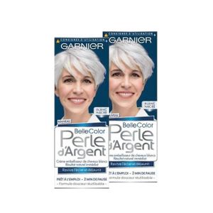 Coloration Cheveux Gris Argent