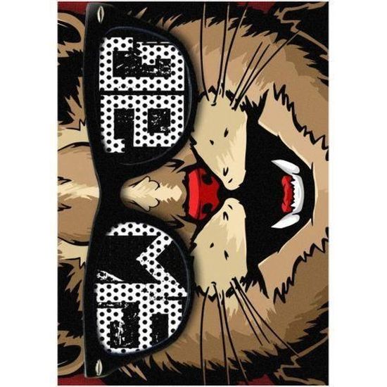 Gs Cadre Plexi 21x29 Cm Chat Swag Cdiscount Maison Gs Cadre Plexi 21x29 Cm Chat Swag Cdiscount Maison