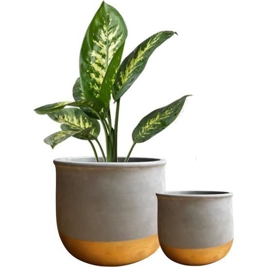 Pot En Ceramique Interieur