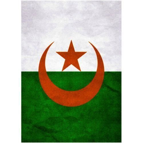 Gs cadre plexi 21x29 cm drapeau algérie
