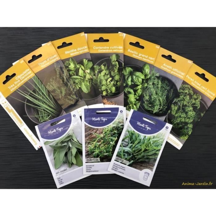 Lot de 10 sachets de graines aromatiques plantes aromatiques potager