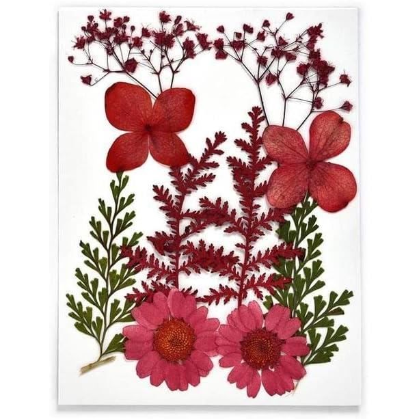 Fleurs Sechees Bouquet De Fleurs Séchées Naturelles Vraies Fleurs