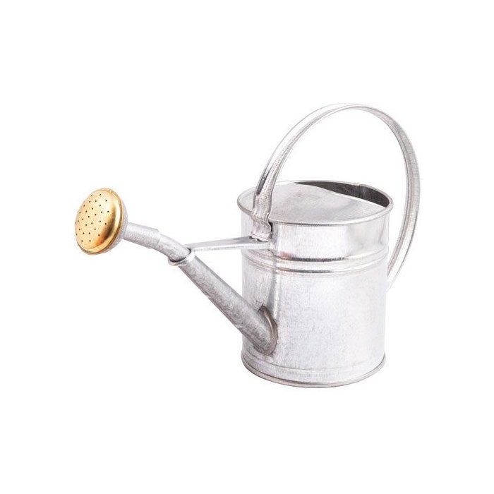 Arrosoir rond GUILLOUARD 1 Acier galvanisé Format compact