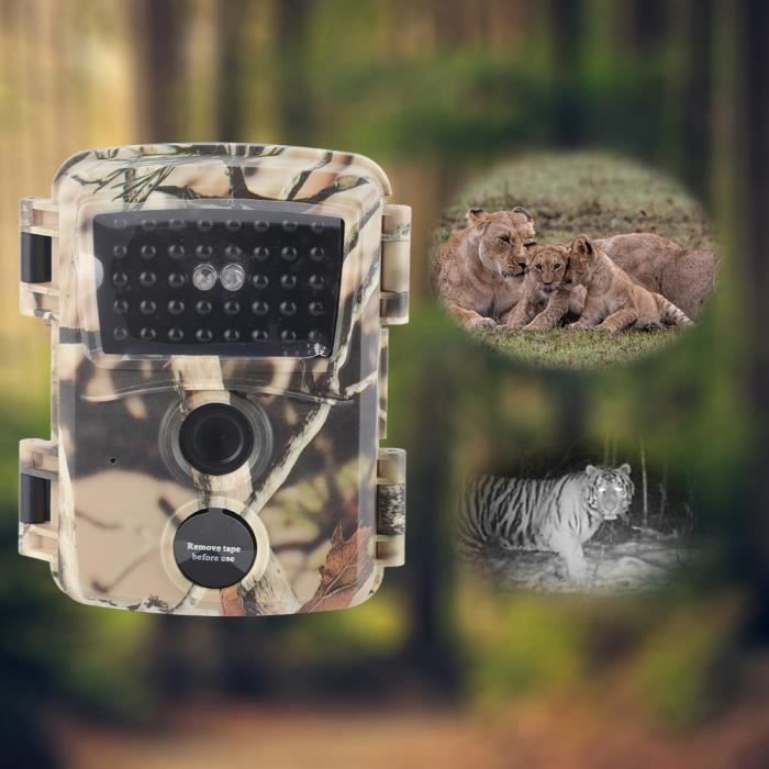 Caméra De Chasse HD Détection Mouvement Infrarouge - Trail Cam Pour Faune