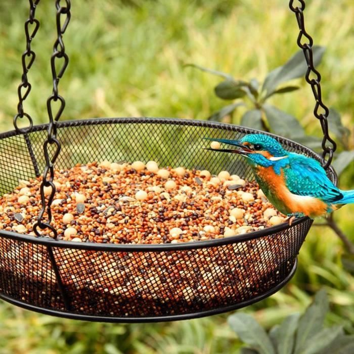 Graines De Découverte -- Le déjeuner, mangeoire à suspendre (oiseaux)