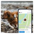 Tractive GPS DOG 4 - Collier GPS chien avec suivi d'activité - Blanc-1