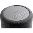 AUDIO PRO Enceinte A10 Dark Grey Multiroom - WIFI - Bluetooth-2