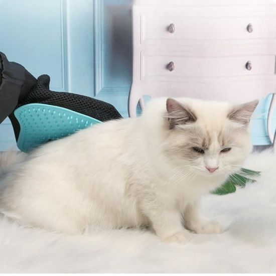 Psm Silicone Epilation Chat Gants Doux Respirant Chat Brosse Chaton Animal Toilettage Chats Produits Rose Cdiscount