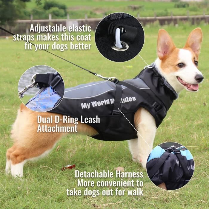 Combinaison neige pour discount chien