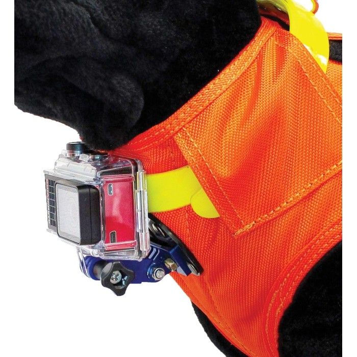 Gilet de signalisation pour chien CaniHunt Flash V2 Cdiscount