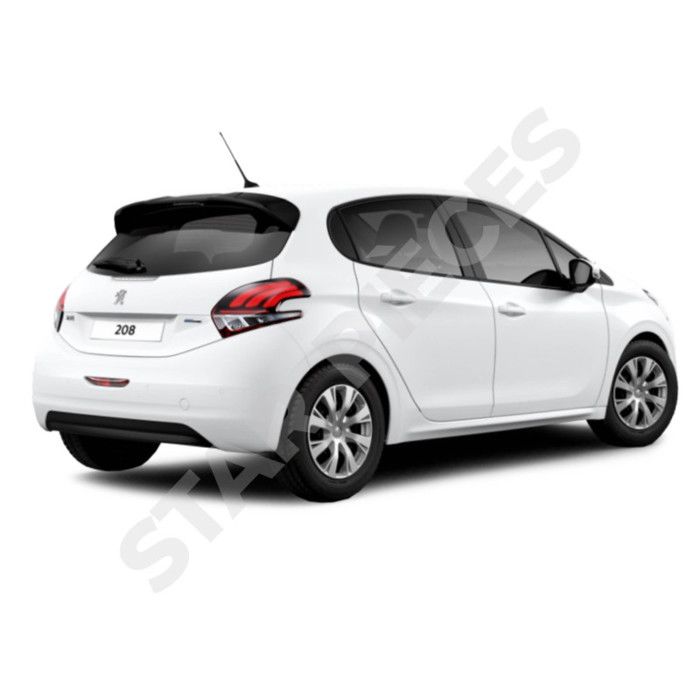 Lot De 2 Vérins De Coffre Compatibles Peugeot 206 Et 206+ (1998-2013) - Hayon Parfait - 8731E6, 9624602280, 51023704