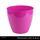 Pot Fushia