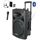 Enceinte amplifiee avec micro