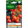 VILMORIN Tomate sweetbaby Sachet de graines-0