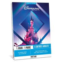 Tick’nBox – Coffret Cadeau Parc Disneyland Paris - 1 journée sur l’Un des 2 Parcs Disneyland ou Walt Disney Studios pour 1 Adulte
