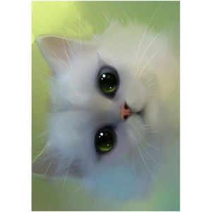 OBJET DÉCORATION MURALE Gs cadre plexi 21x29 cm chat blanc yeux emeraude