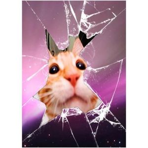 Tableau Chat Cdiscount Tableau Chat Cdiscount