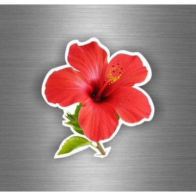 Lot D'autocollants Voiture Hibiscus Fleurs Papillons - Set Floral Vintage (14 Pièces)
