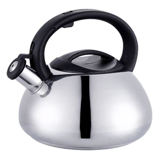 Bouilloire Sifflante Bouilloire Camping 2L Green Haven Acier