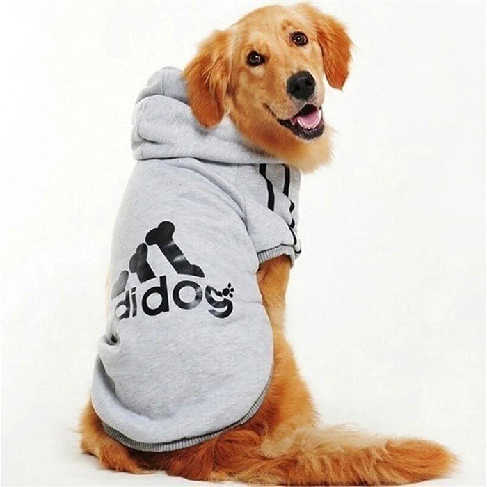 Meilleurs prix pour Sweats capuche dhiver pour chiensveste PVDmanteauvtements pour petitsmoyens et grands chiens- GRAY-9XL30-34KG dogs