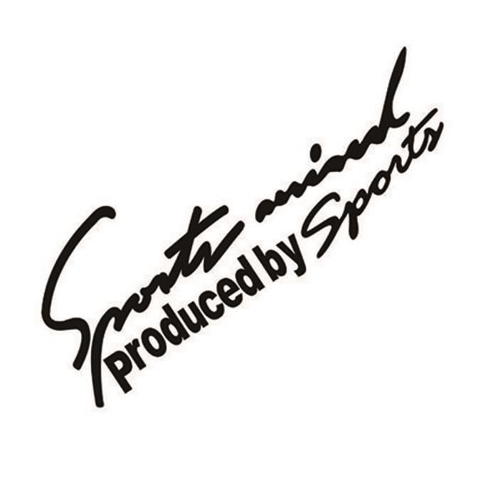 Style De Voiture Sport Esprit Sticker Embleme Badge Decal Auto
