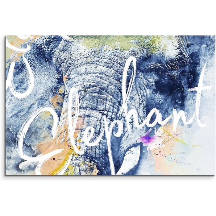 Paul Sinus Art Image murale sur toile, motif gouttes d'eau sur une plume, 120 x 80 cm, art photographique inspirant, de qualité musée, pour votre foyer Paul Sinus Art Image murale sur toile, motif gouttes d'eau sur une plume, 120 x 80 cm, art photographique inspirant, de qualité musée, pour votre foyer