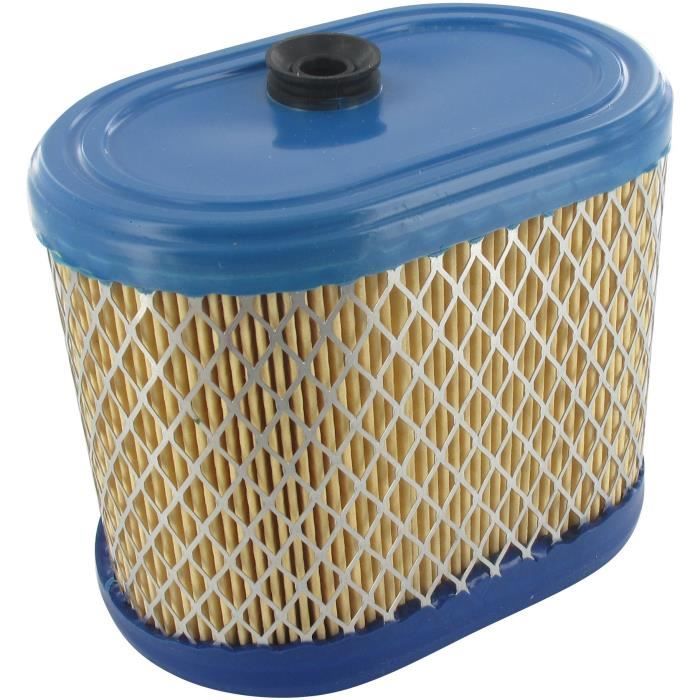 Filtre à air BRIGGS et STRATTON 695302