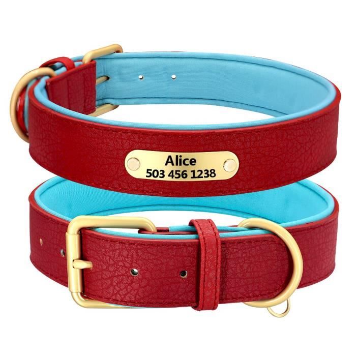 Collier en cuir pour chien, gravé, personnalisé, rembourré, avec plaque — free download