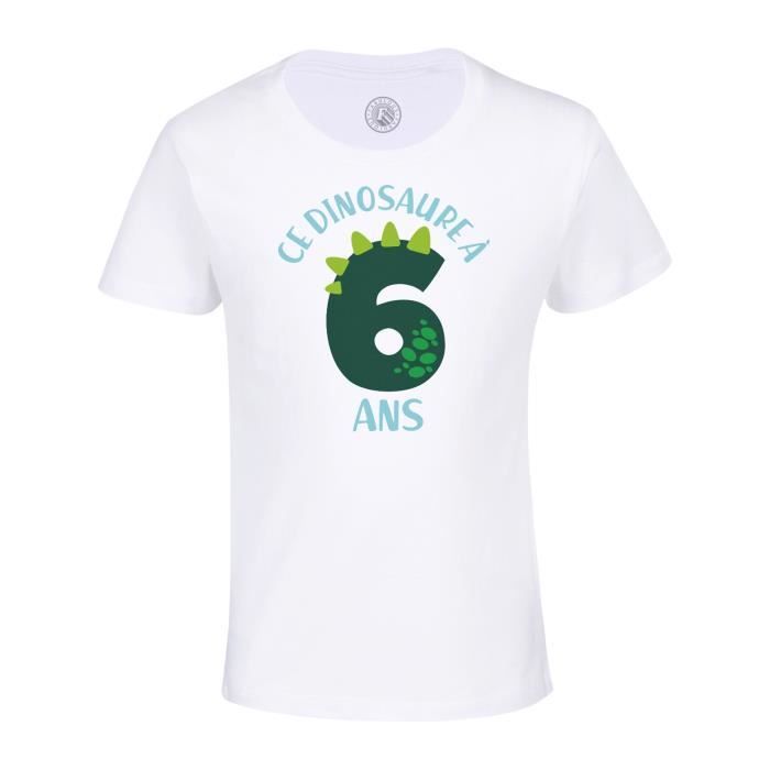 Tee shirt best sale enfant dinosaure