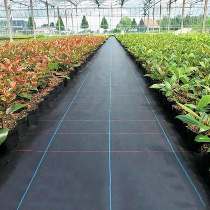 100m 150g Bache De Paillage Anti Mauvaises Herbes Achat Vente Geotextile Bache 100m Bache De Paillage Anti Cdiscount