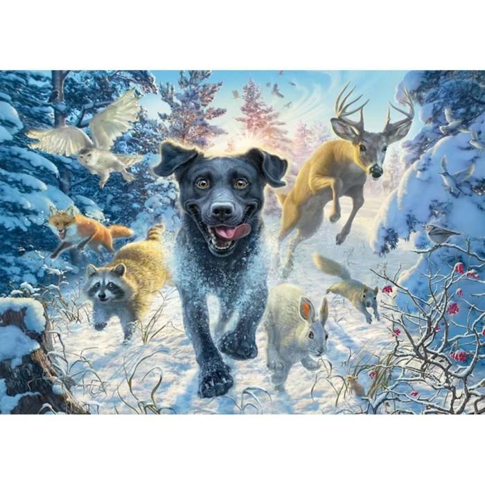 Puzzle - SCHMIDT - Labrador noir dans la neige - 1000 pièces - 69.3 x 49.3 cm - Pour adultes