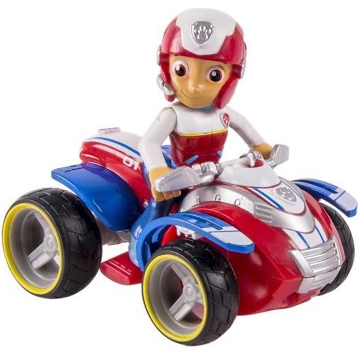 Ryder pat patrouille picwic