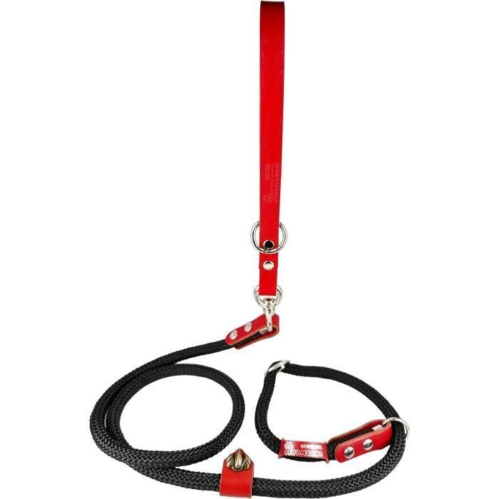 ★★★★★ Laisse Lasso sport canin -  Anneau laiton