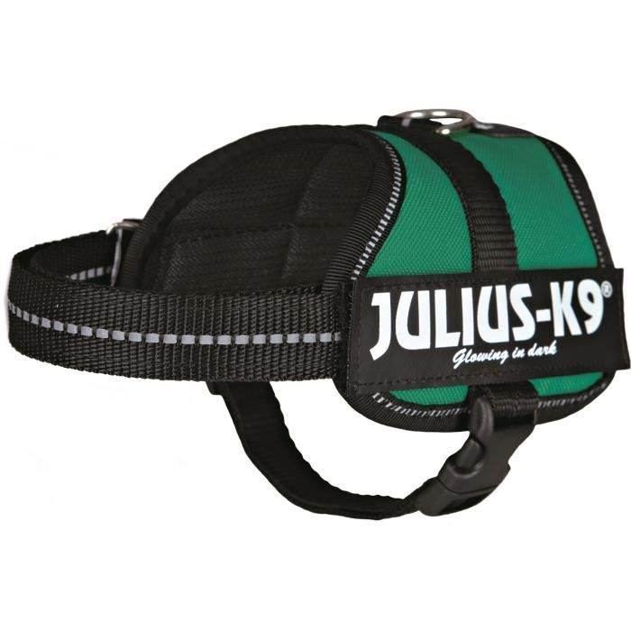 Harnais Power JuliusK9 Baby 2 XSS 3345 cm18 mm Vert Pour