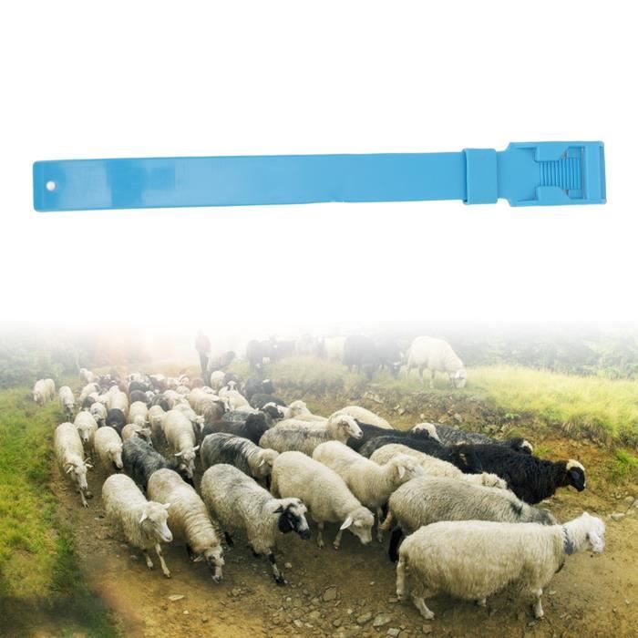 YOSOO 10Pcs Colliers Chèvres, Bandes d'Identification Moutons, Équipement  d'Élevage