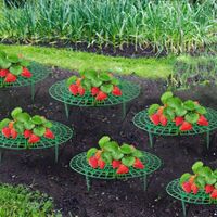 10pack Soutiens de la Plante aux Fraises, Plants de Fraises Qui Cultivent des Supports, des Cages des Plantes et des Supports du Support de Support de Fraise, Gardez les Baies 10pack Soutiens de la Plante aux Fraises, Plants de Fraises Qui Cultivent des Supports, des Cages des Plantes et des Supports du Support de Support de Fraise, Gardez les Baies