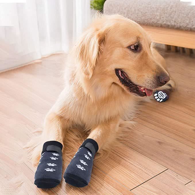 Chaussette pour chien blessé best sale