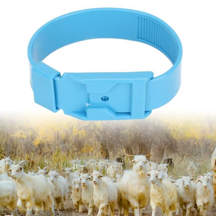 YOSOO 10Pcs Colliers Chèvres, Bandes d'Identification Moutons, Équipement  d'Élevage