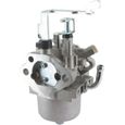 Carburateur ROBIN pour moteurs EX30 - 279-62364-20-0