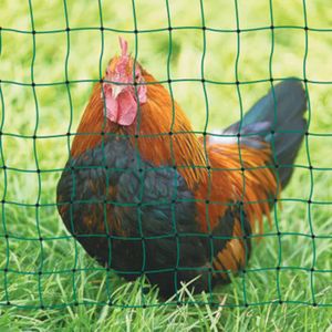 Poulailler Sweeek Kit filet clôtures pour poules 24m avec 8