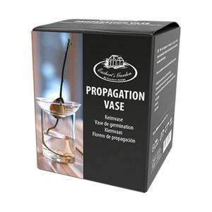 POT DE GERMINATION Kit de germination - ESSCHERT DESIGN - Vase germin