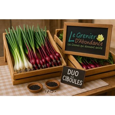 250 graines Bio à semer - Le Grenier d'Abondance - EPINARD Géant d'hiver Verdil - Certifié AB