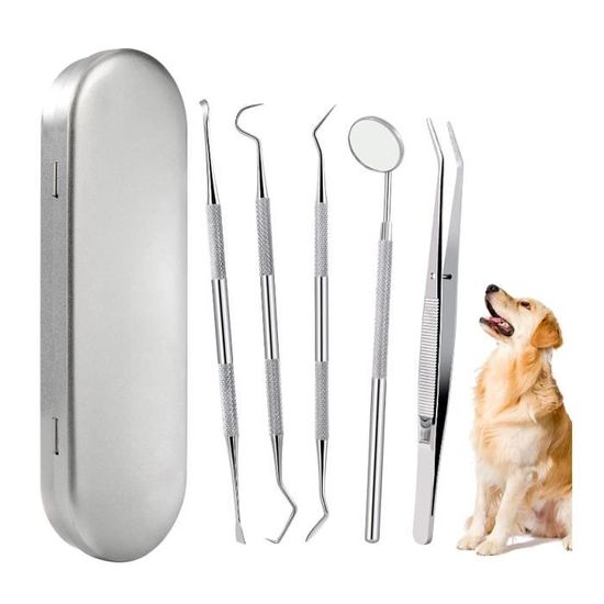 Détartreur Dentaire Pour Chien - 5 Modes, 3 Têtes Inox, Lumière LED, Charge USB-C - Kit Complet Détartrage à La Maison