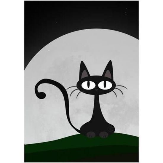 Cadre En Plexiglass 3mm Gs Chat Noir Achat Vente Tableau Toile Cdiscount