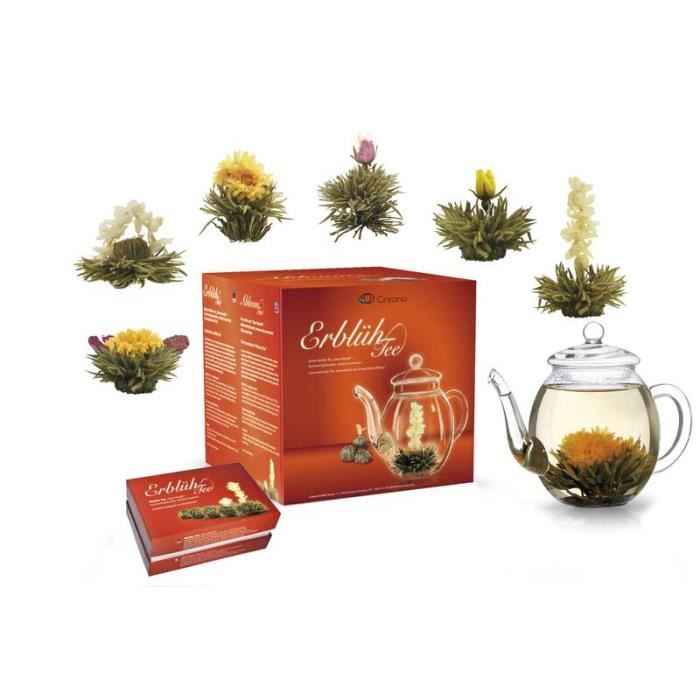 Coffret de fleurs de thé -ErblühTee- avec cruche en verre, 6 sortes différentes