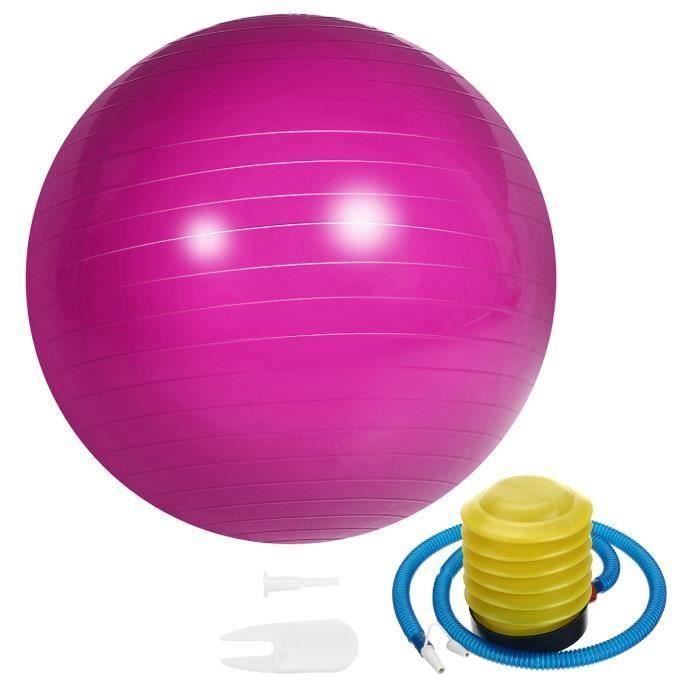Ballon de Yoga 65cm Fitness Sport Exercice + Pompe Rose