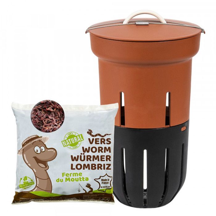 Lombricomposteur - Terracotta - 12L - 500gr de Vers -
