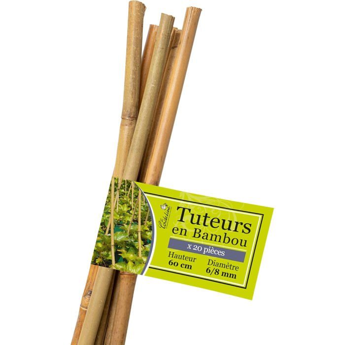 La Cordeline Rafia Naturale Pretagliata - 40 Cm, Confezione Da ± 600 Fili, 200g - Per Giardinaggio E Fai Da Te