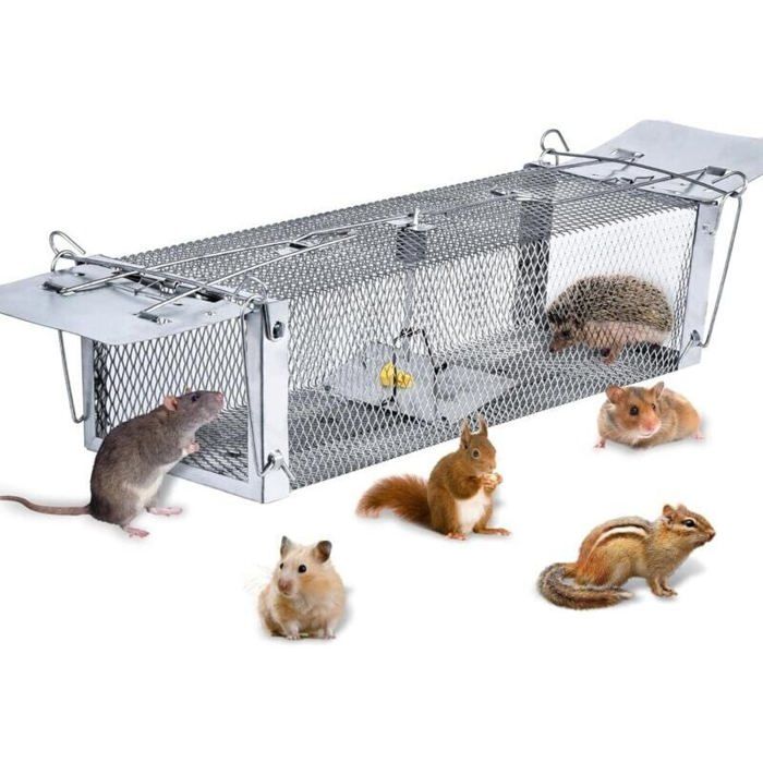 Piège à rats professionnel - PZCC - 41x14x11 cm - Cage de capture réutilisable - 2 entrées - Intérieur et extérieur