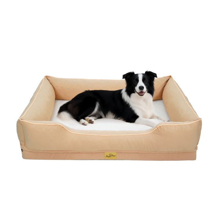 Panier Chien Orthopédique - BingoPaw - Coussin Déhoussable pour Chiens Mémoire de Forme Anti-dérapant - Beige 105x75.5x21cm